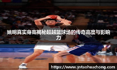 姚明真实身高揭秘超越篮球场的传奇高度与影响力